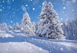 Image result for Pictures of Snow Falling