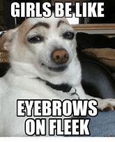 Image result for Eyebrows On Fleek Meme
