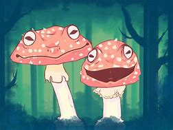 Image result for Frog and Mushroom