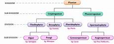 Classification Of Plant Kingdom Study Amp Score