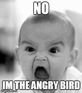 Image result for Angry Birds Meme