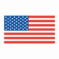Image result for US Flag Logo