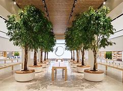 Image result for Apple Store Interior Wood Furniture Material