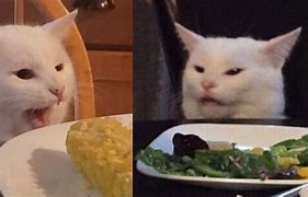 Image result for Cat Eating Dinner Meme