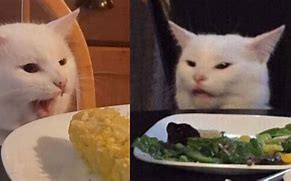 Image result for Cat Dinner Table Meme