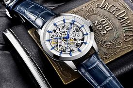 Image result for Pagani Design Skeleton Watches