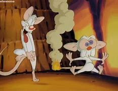 Image result for Pinky and the Brain Angry