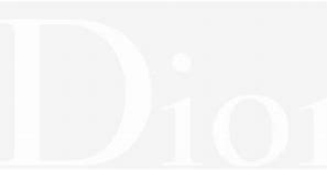 Image result for Dior Logo Full White