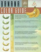 Image result for Good Color Theme for Banana and Orange