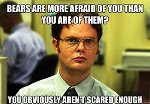 Image result for Dwight Schrute Bears