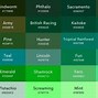 Image result for Types of Pale Color
