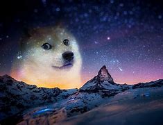 Image result for Buff Doge Wallpaper