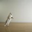 Image result for Cat Standing Hind Legs
