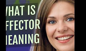 Image result for Effector Meaning