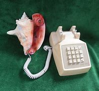 Image result for Conch Shell Phone