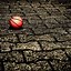 Image result for iPhone Wallpaper Basketball Fo