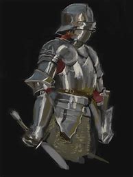 Image result for Female Knight Armor