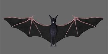 Image result for Bat 3D Shape