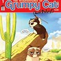 Image result for cats meme grumpiest cats