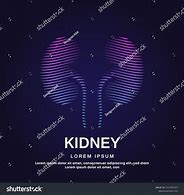 Image result for Kidney Shape Meme