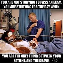 Image result for Nursing Assignment Memes