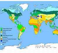 Image result for Map of Biomes