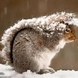 Image result for myTV Picture Is Snowy