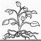 Image result for House Plant Clip Art Black and White