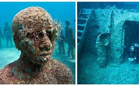 Image result for Preserved Bodies in Sunken Ships