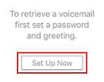 Image result for Answer Your Phone and Check Your Voicemail