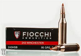 Image result for 243 Similar Ammo