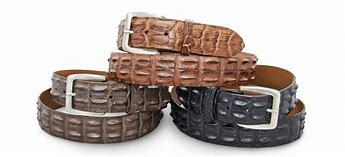 Image result for Alligator Golf Belts for Men