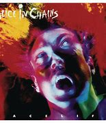 Image result for Alice in Chains Facelift