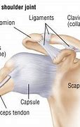 Image result for How Long Does a Sprained Shoulder Take to Heal