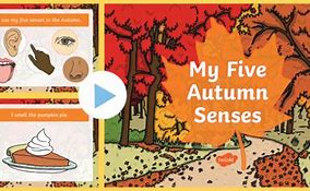 Image result for 5 Senses for Autumn