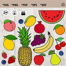 Image result for Fruit SVG