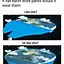 Image result for Flat Earth Anti Meme