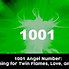 Image result for 1001 Angel Meaning