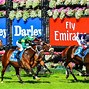 Image result for Melbourne Horse Racing