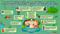 Image result for Get Rid of Mosquitoes
