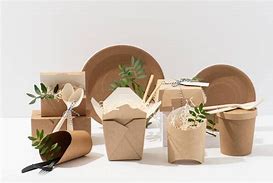 Image result for Disposable Packaging Products