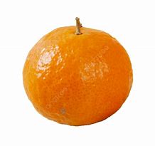 Image result for Very Tiny Oranges