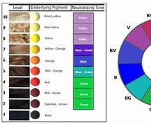 Image result for Pie Chart of Hair Color