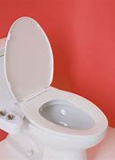 Image result for Rear Flush Toilet