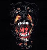 Image result for Givenchy Rottweiler Tumblr