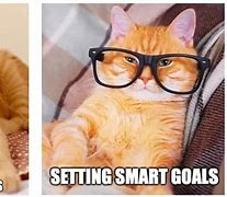 Image result for Memes About Setting Goals