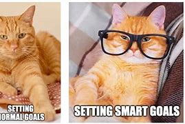 Image result for Cat Goals Meme