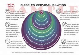 Image result for Cervix Dilation Chart