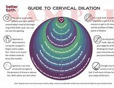 Image result for How Big Is 10 Cm Dilated