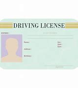 Image result for Pretend Drivers License